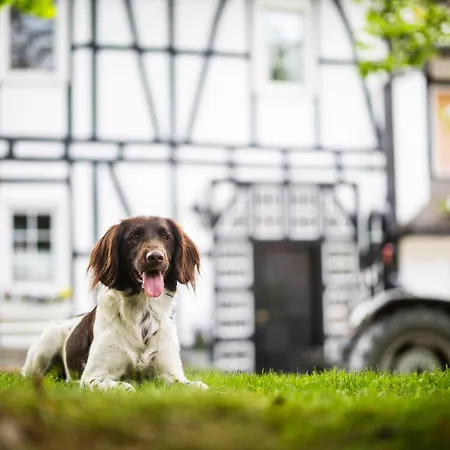 Hof Koehne - Malerhaus 度假居