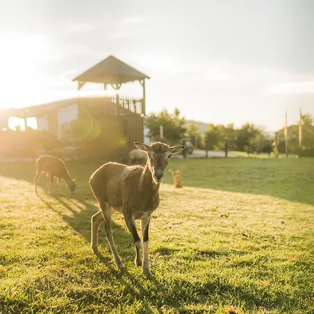 Hof Koehne - Malerhaus *