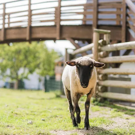 Hof Koehne - Malerhaus 施马伦贝格