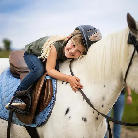 Hof Koehne - Malerhaus 施马伦贝格