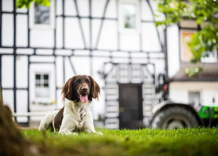 Hof Koehne - Malerhaus Vakantiehuis