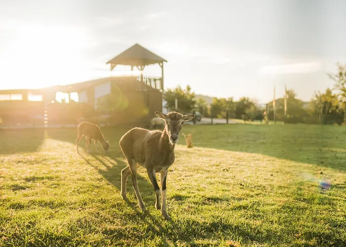 Hof Koehne - Malerhaus *