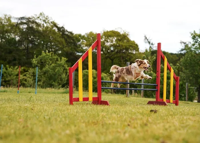 Hof Koehne - Malerhaus